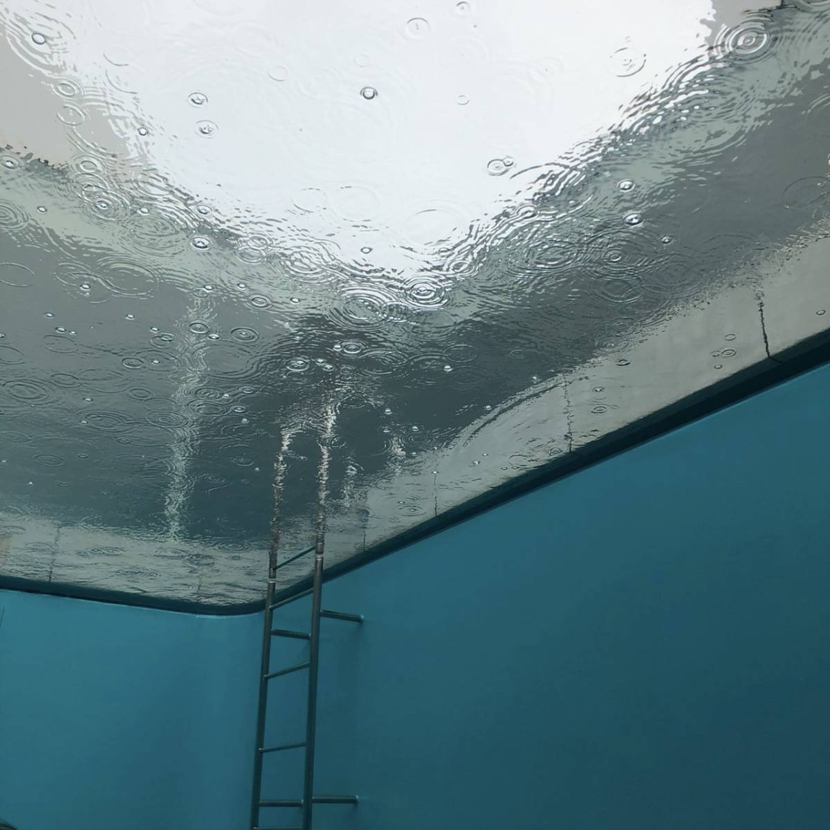 金沢21世紀美術館のプールの展示