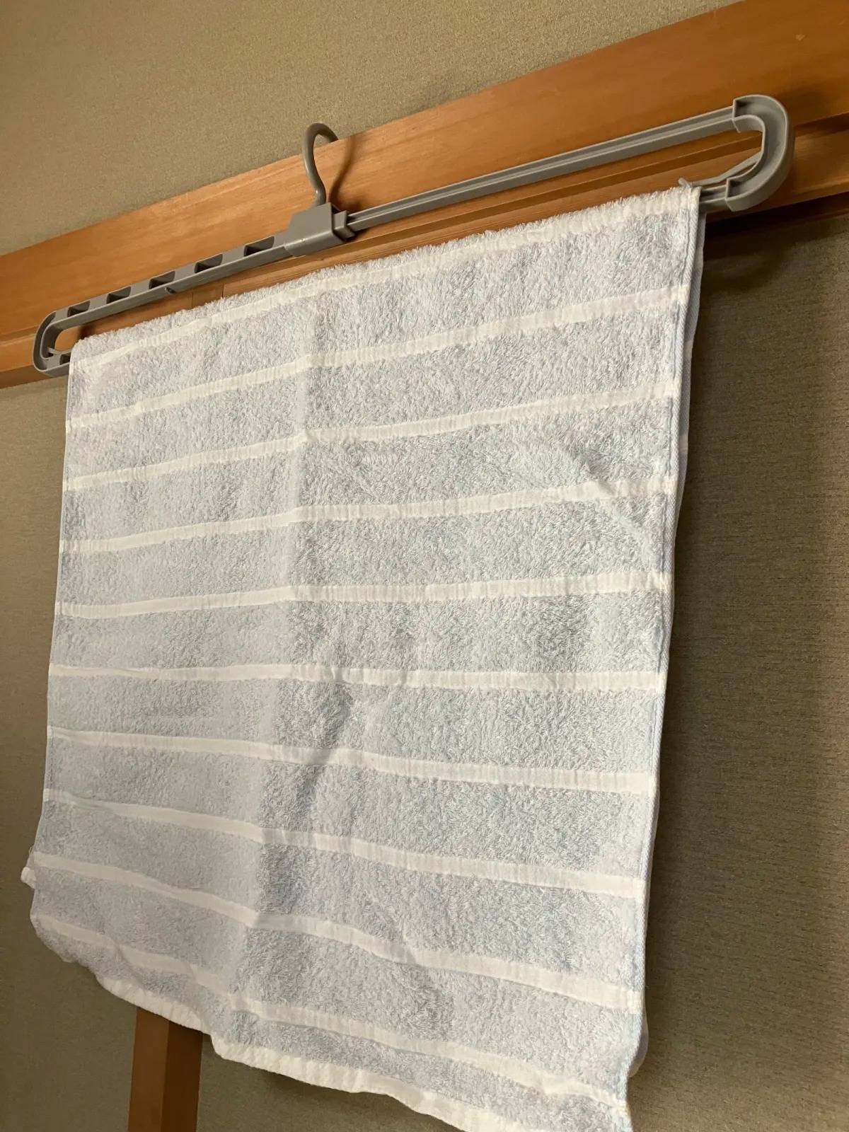 DAISO(ダイソー):ハンガー(バスタオル、スライド式)