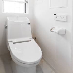 実は風水的に大大大吉です。トイレに置くと幸運を呼ぶ最強アイテム5選