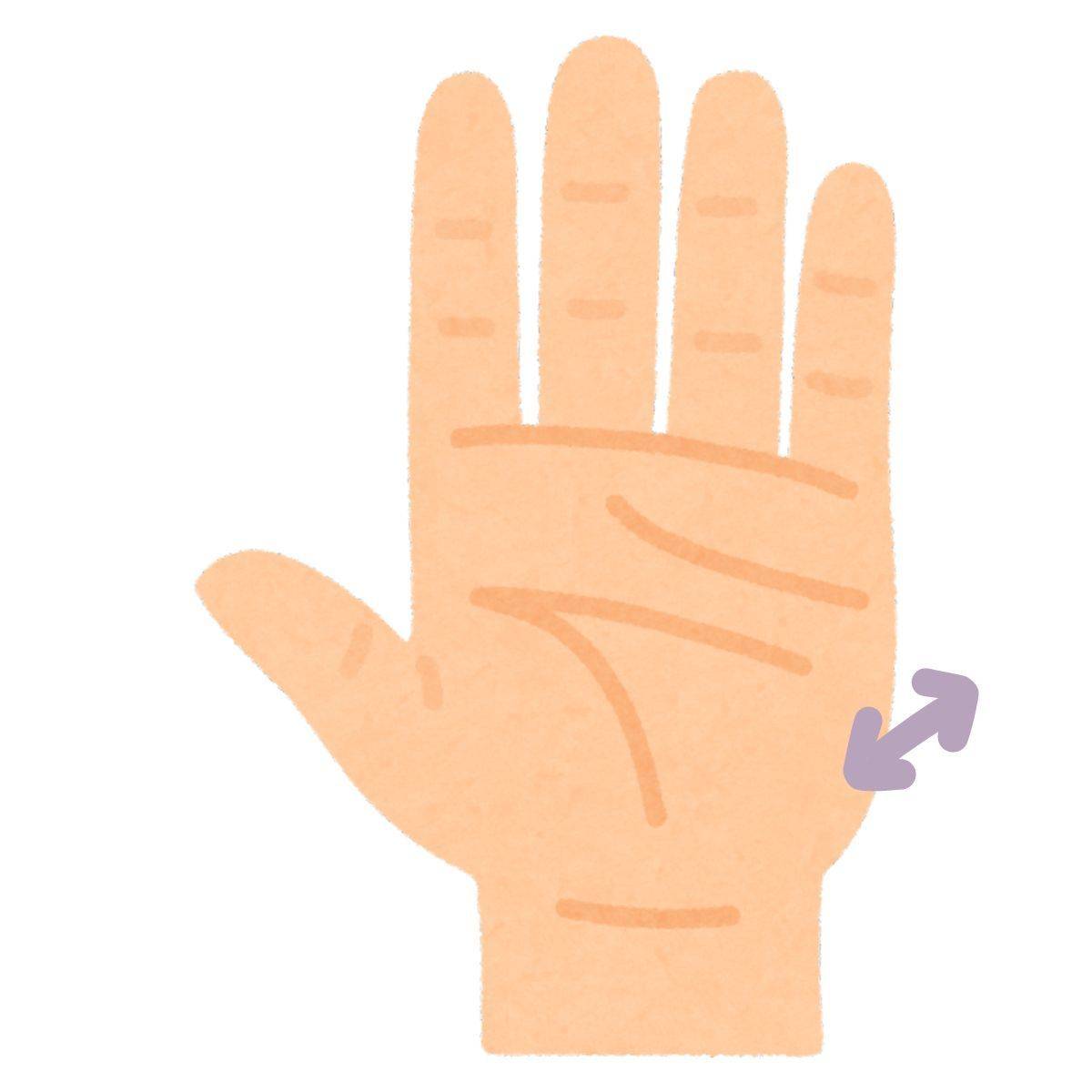 手のひらに厚みがある