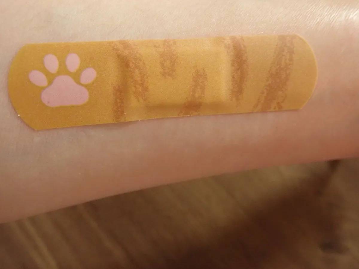 DAISO(ダイソー):救急!!キズテープ(肉球ねこ、12枚入)