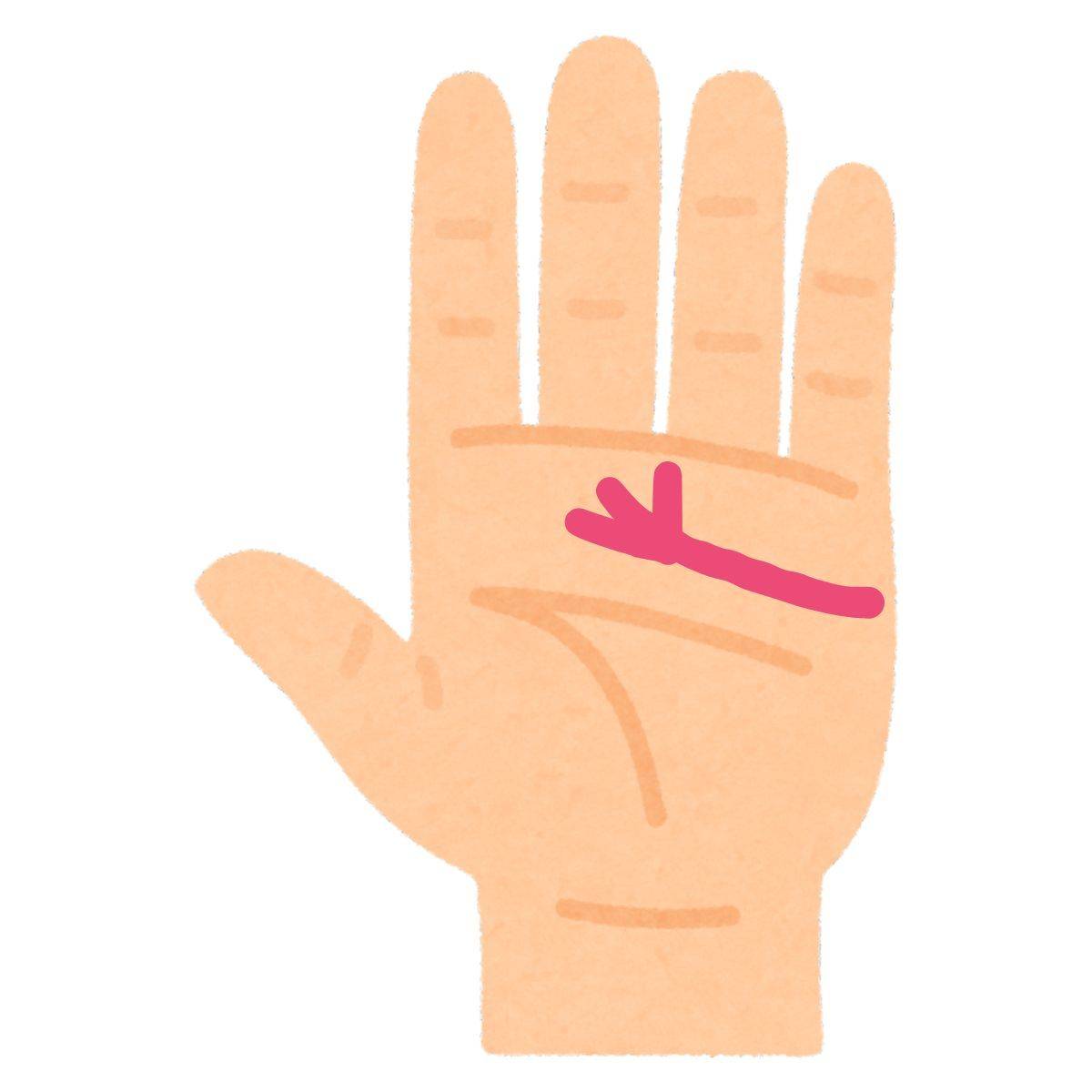 先が3つに枝分かれしている感情線