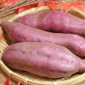 もう3回も作ってた……。「さつまいも」があればできる超簡単レシピ