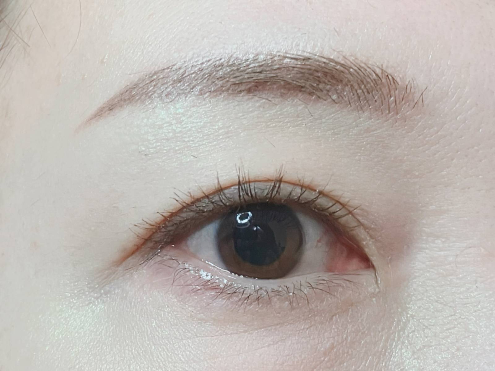 ヴィセ リシェ アイブロウパウダー BR-6 ニュアンスミントDFパターン