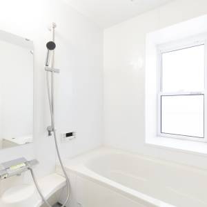 実は風水的に最高です。バスルームにあると幸運を呼ぶ最強アイテム5選