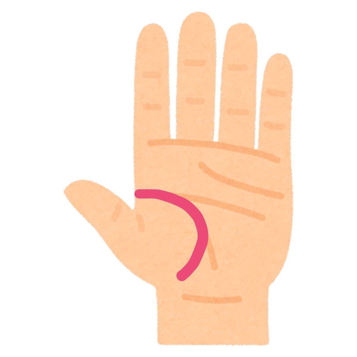 カーブしている生命線