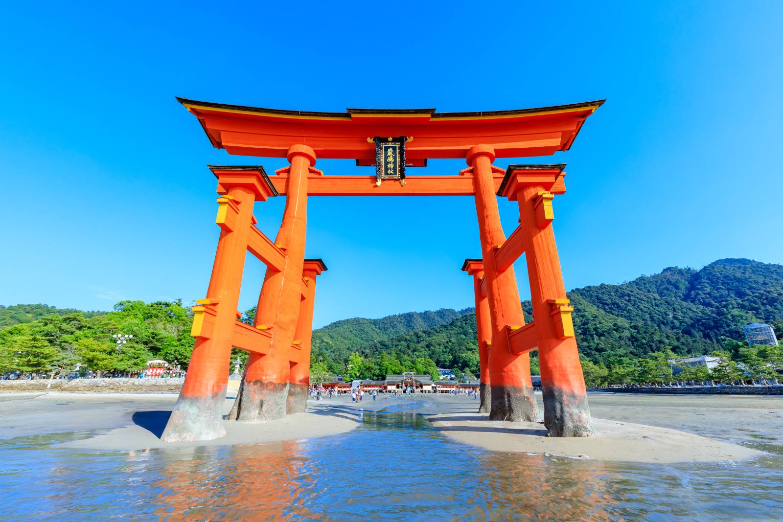 運を引き寄せるアクション