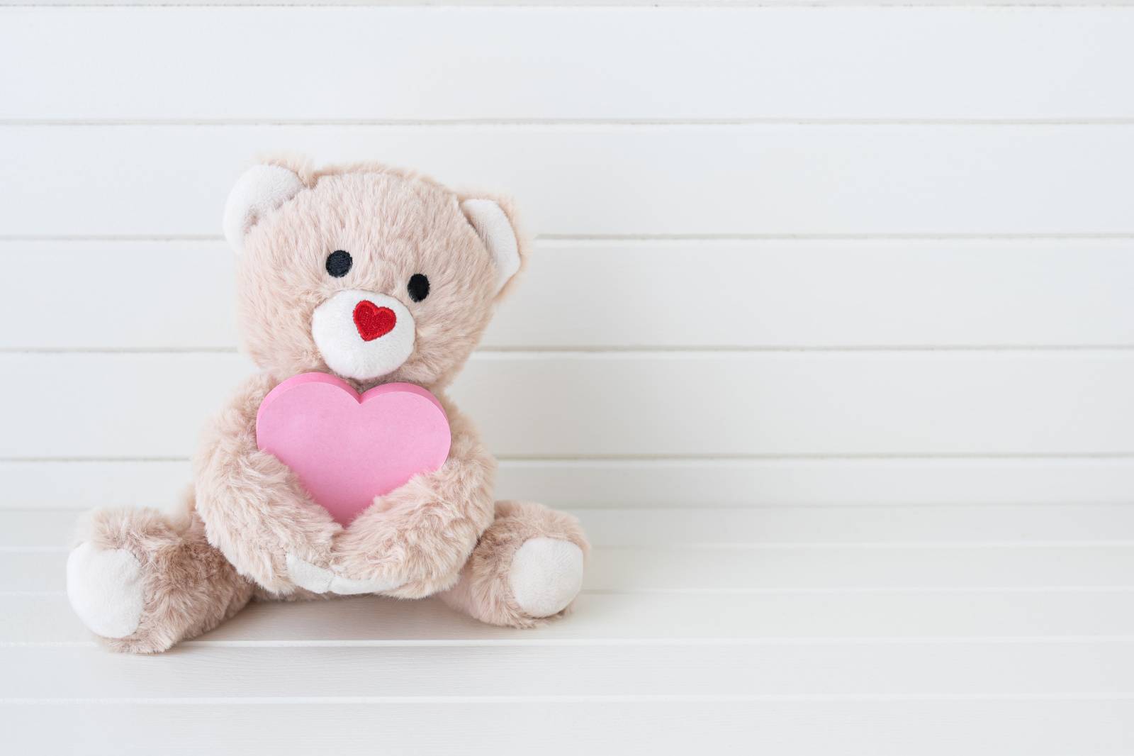 トイレ 人気運 下がる ぬいぐるみ