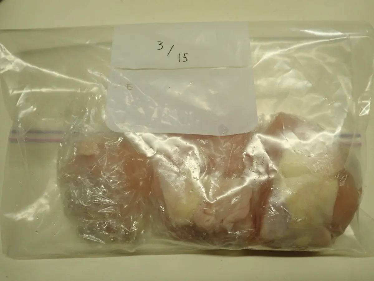 DAISO(ダイソー)：Wチャック フリーザーバッグ(L、11枚)