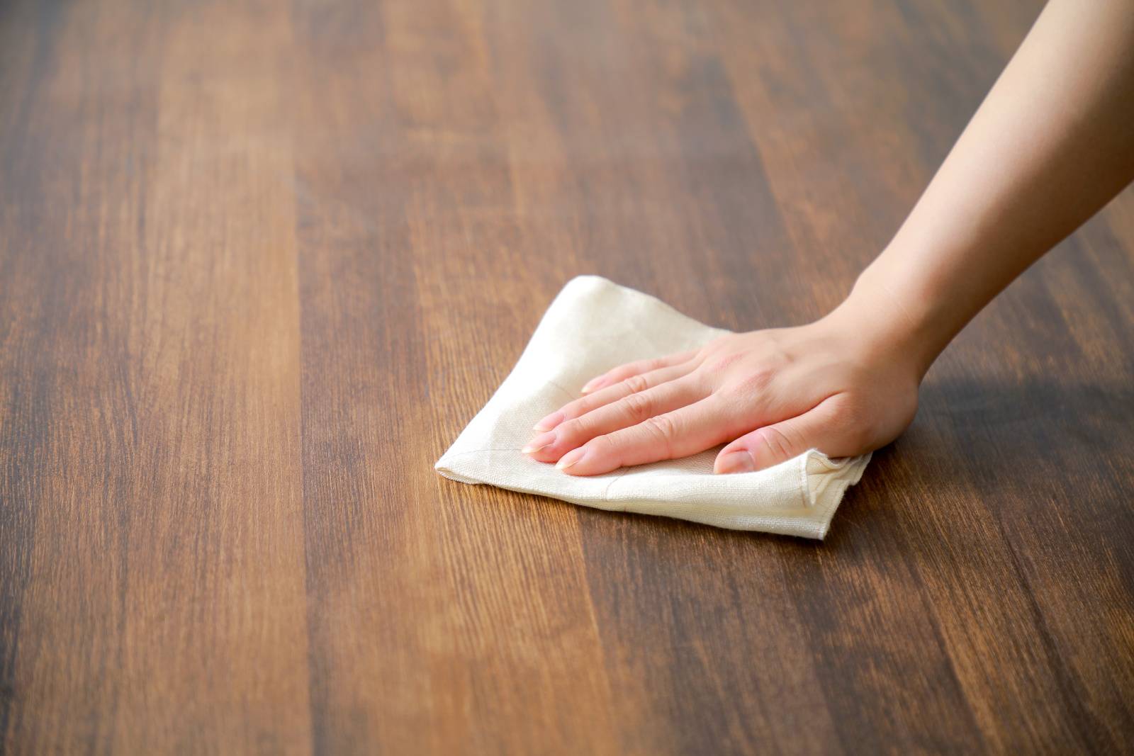 キッチン　人気運　下がる　スポンジ　布巾　汚れた