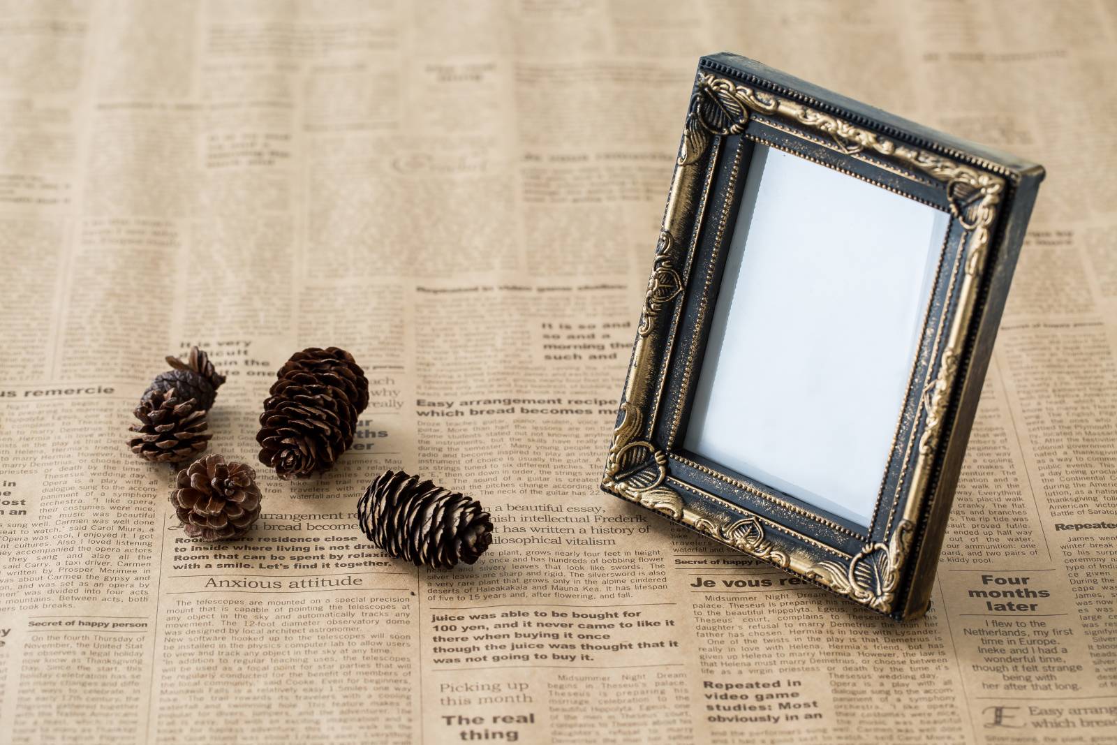 南　人気運　上がる　ゴールド