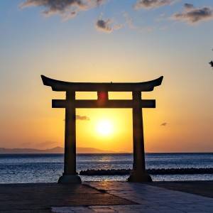 超大吉日【11月7日(金)】が到来するよ。運気を引き寄せる方法は？