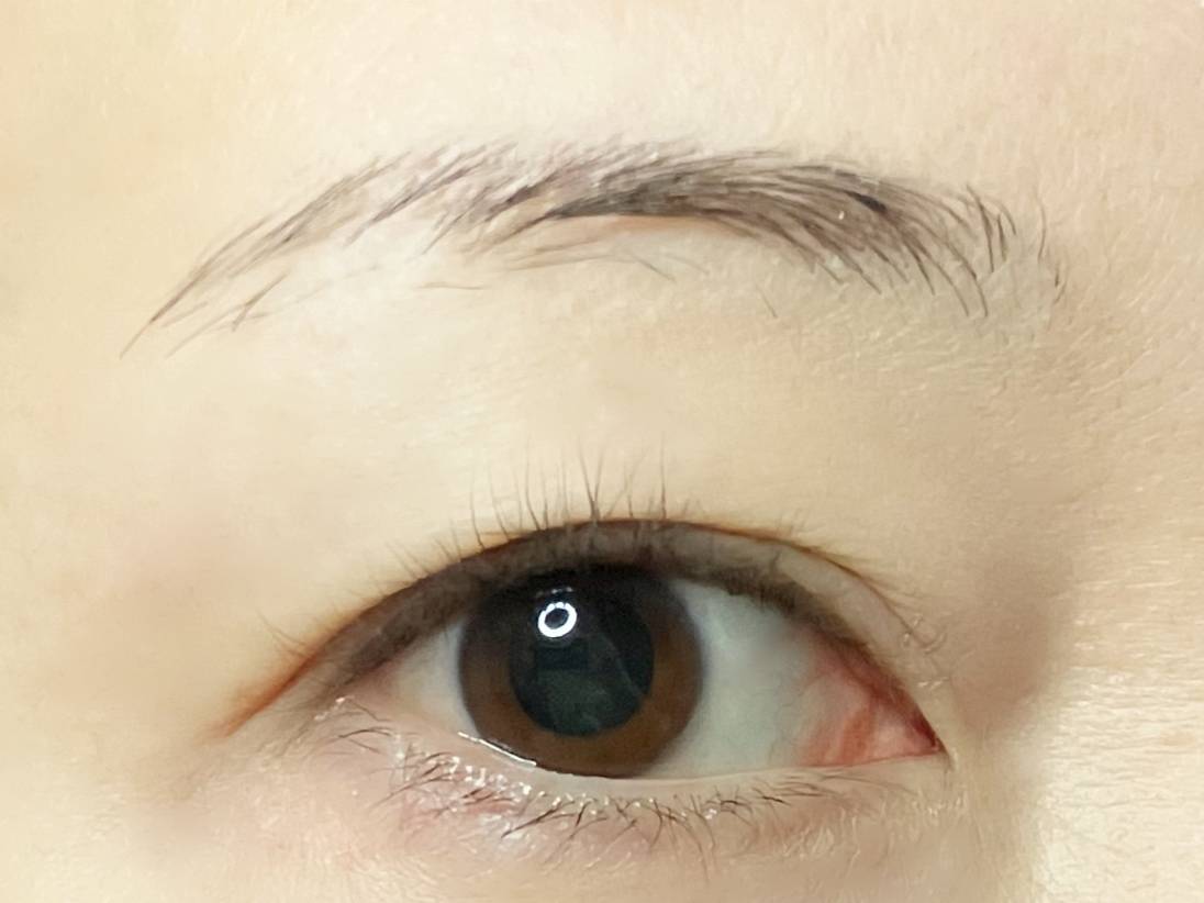 セザンヌ 超細芯アイブロウ 05 ナチュラルグレー 筆者半顔 眉すっぴん