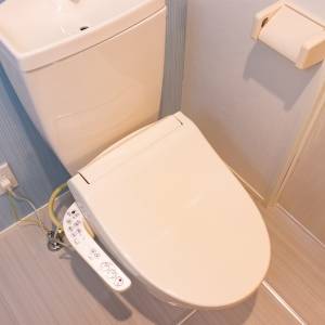 実は風水的に最高だってよ。トイレにあると人気運が急上昇するもの5選