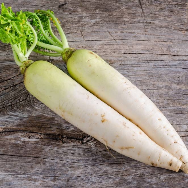 大根
