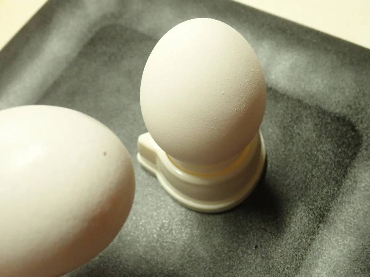 DAISO(ダイソー)：たまごの穴あけ器(MEOW)