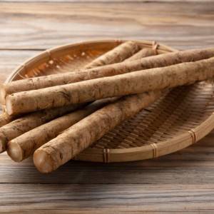 もう3回も作ってるわ……。切って炒めるだけの「ごぼう」の簡単レシピ