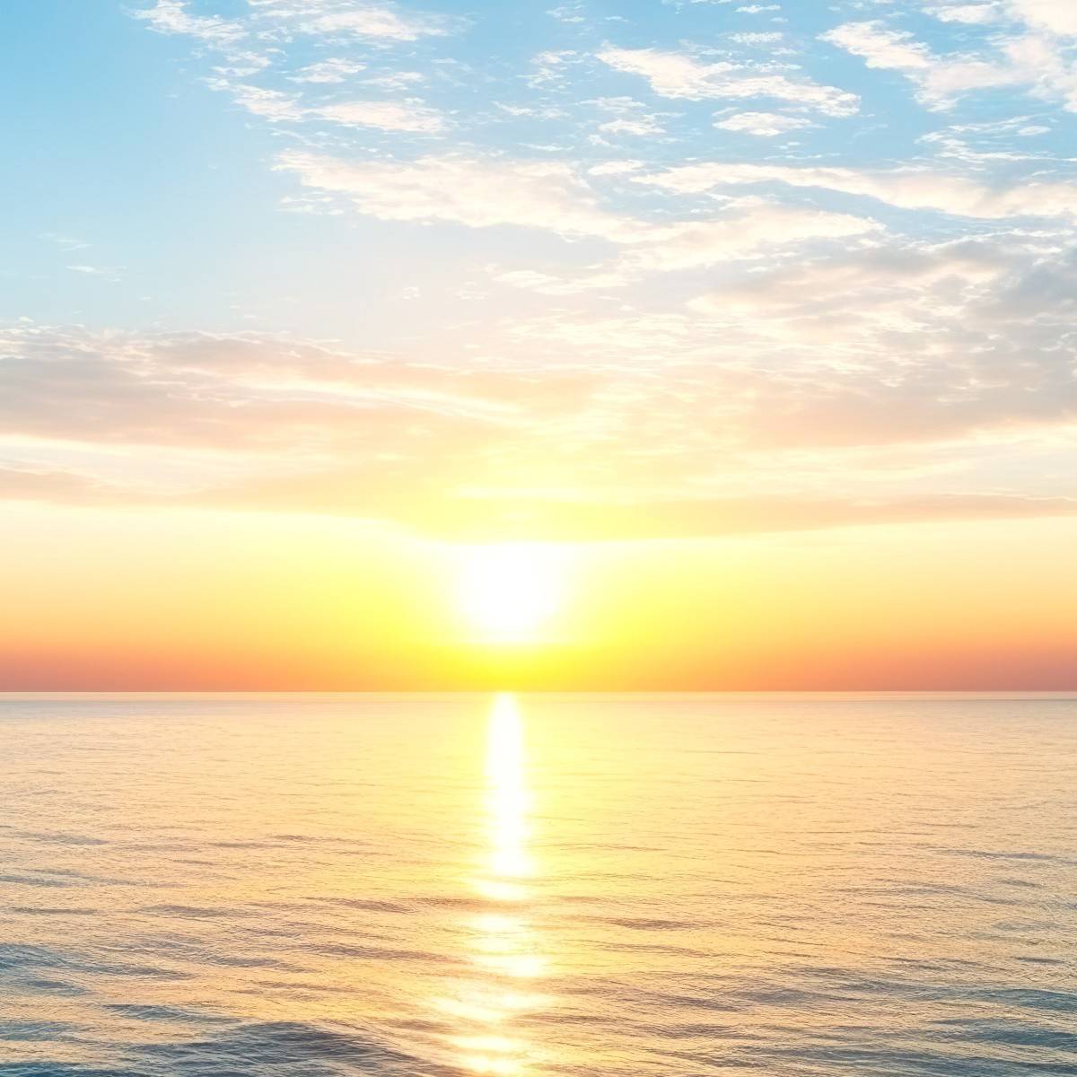 2025年11月13日（木）