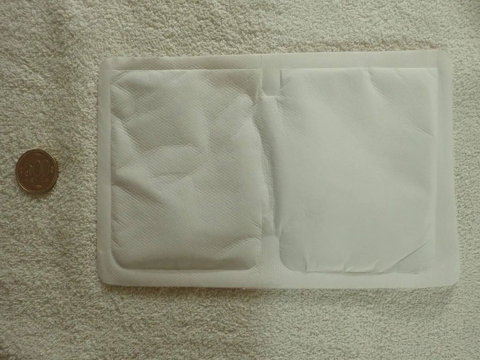 DAISO(ダイソー)：貼るビッグカイロ(2個)