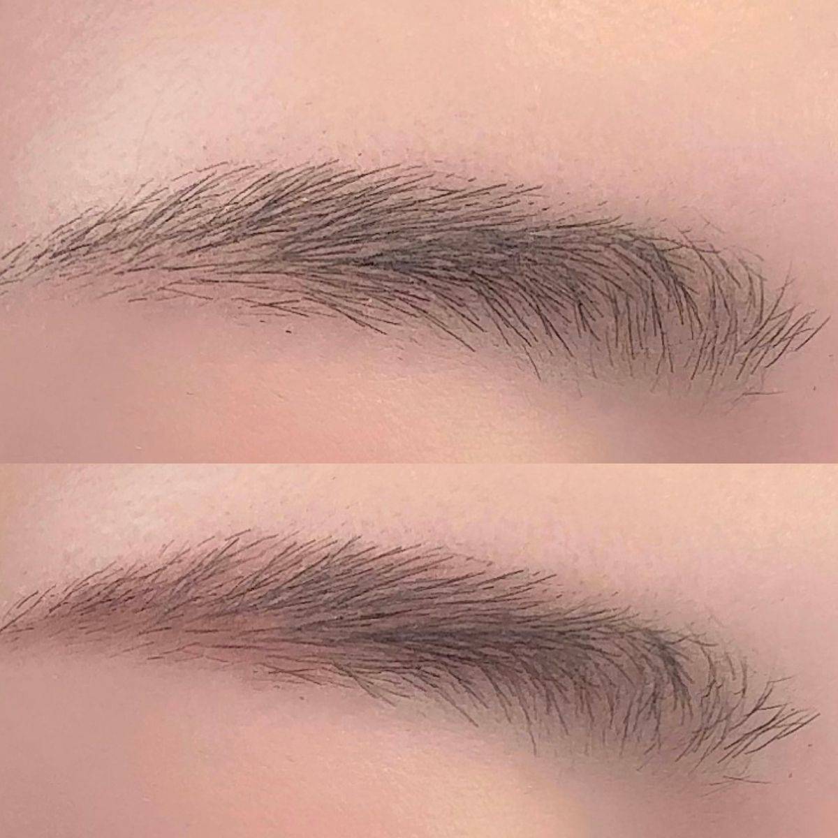 CEZANNE「ノーズ＆アイブロウパウダー」