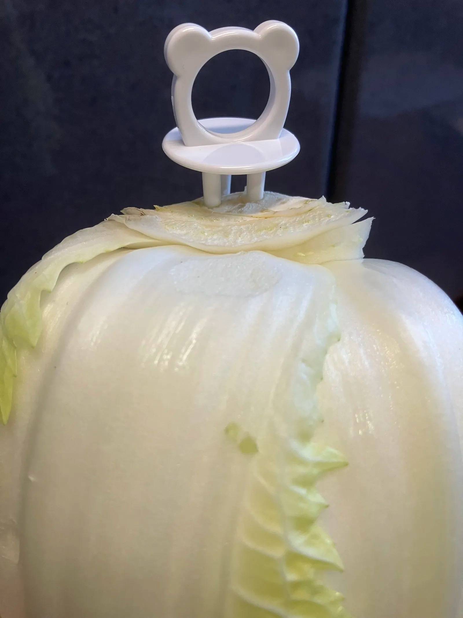 DAISO(ダイソー):野菜フレッシュキーパー(くま、2個)