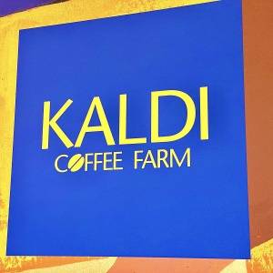 もう3日連続で食べてる。【カルディ】鬼リピしたくなる人気商品3選