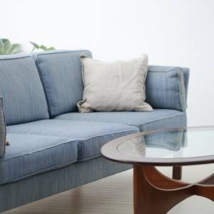 実は風水的に大吉です。リビングにあると人気運が爆上がりするもの5選