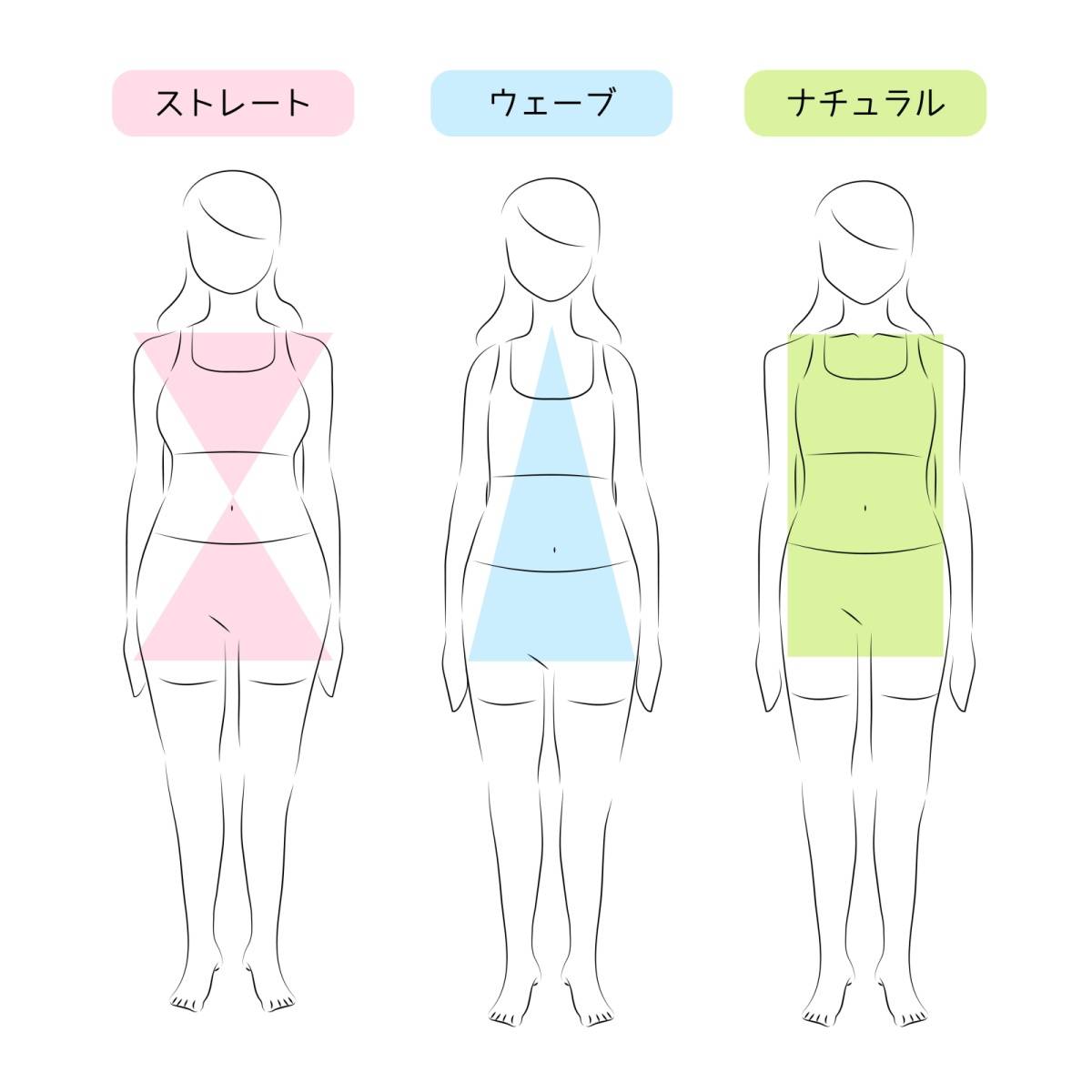 骨格診断のイラスト素材