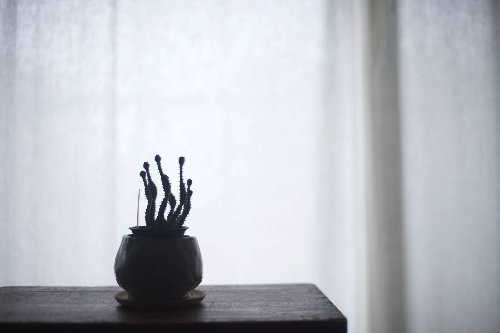 不成就日 2025年12月1日