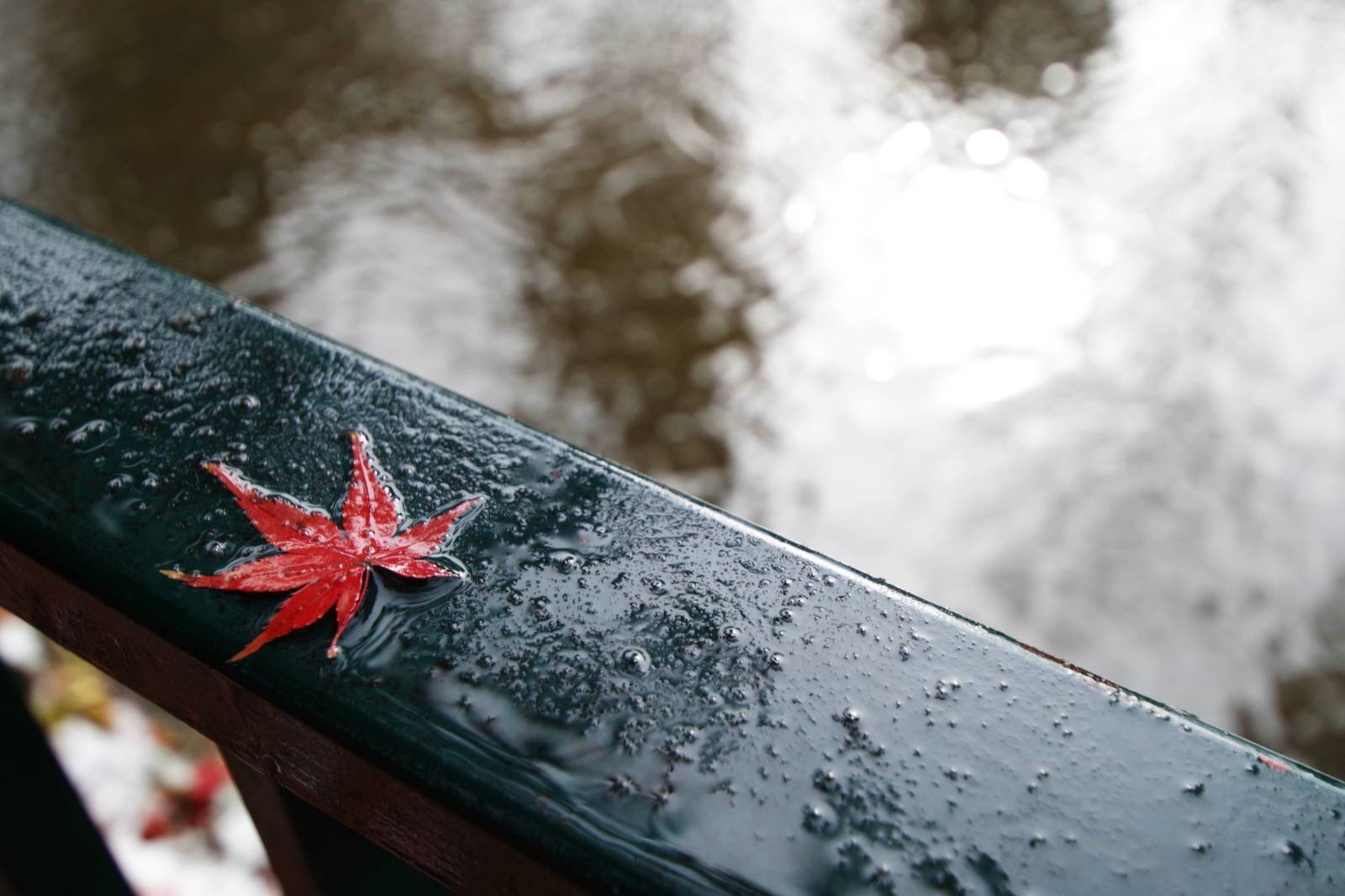 運を逃すアクション