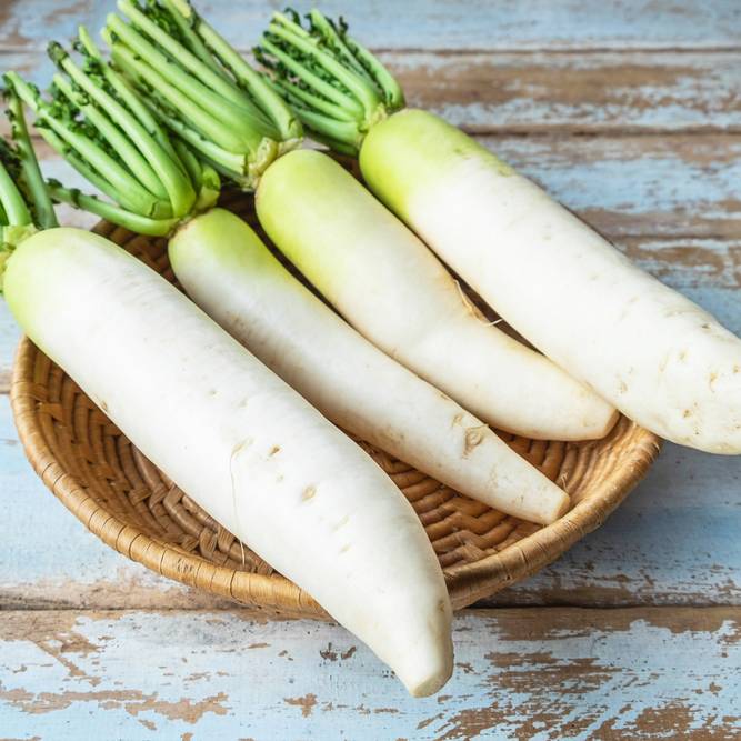 大根