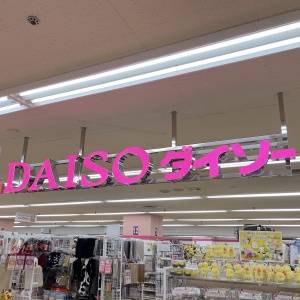 【ダイソー】とんでもないの売ってる……。思わず二度見した最強グッズ