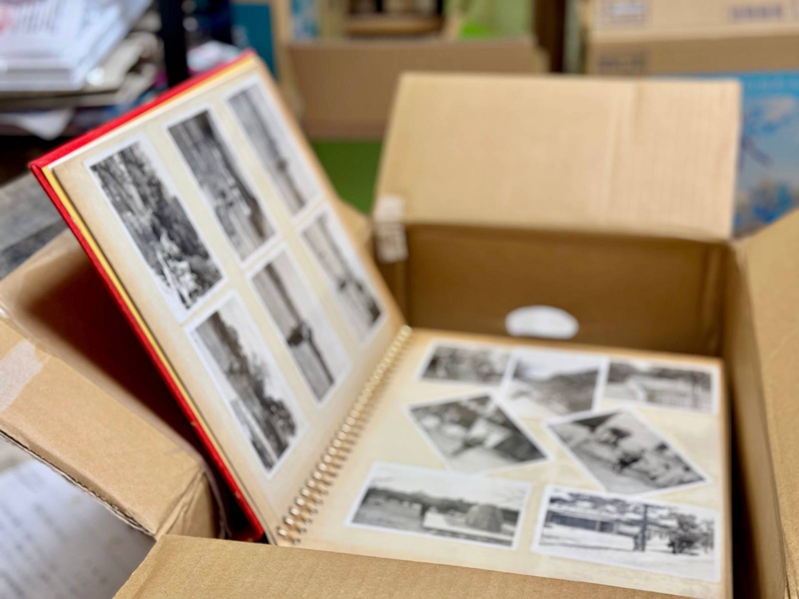 南西　健康運　下がる　古い写真