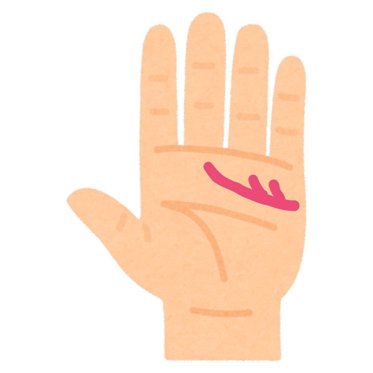 上向きの枝がついている感情線(ユーモア線)