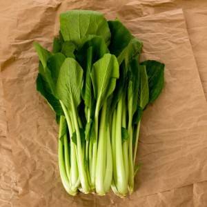  小松菜 