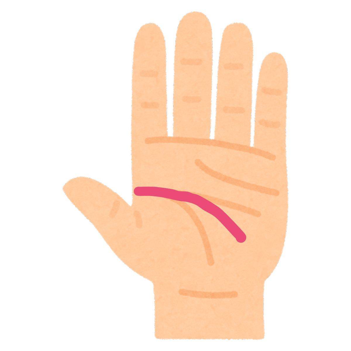 下向きの知能線