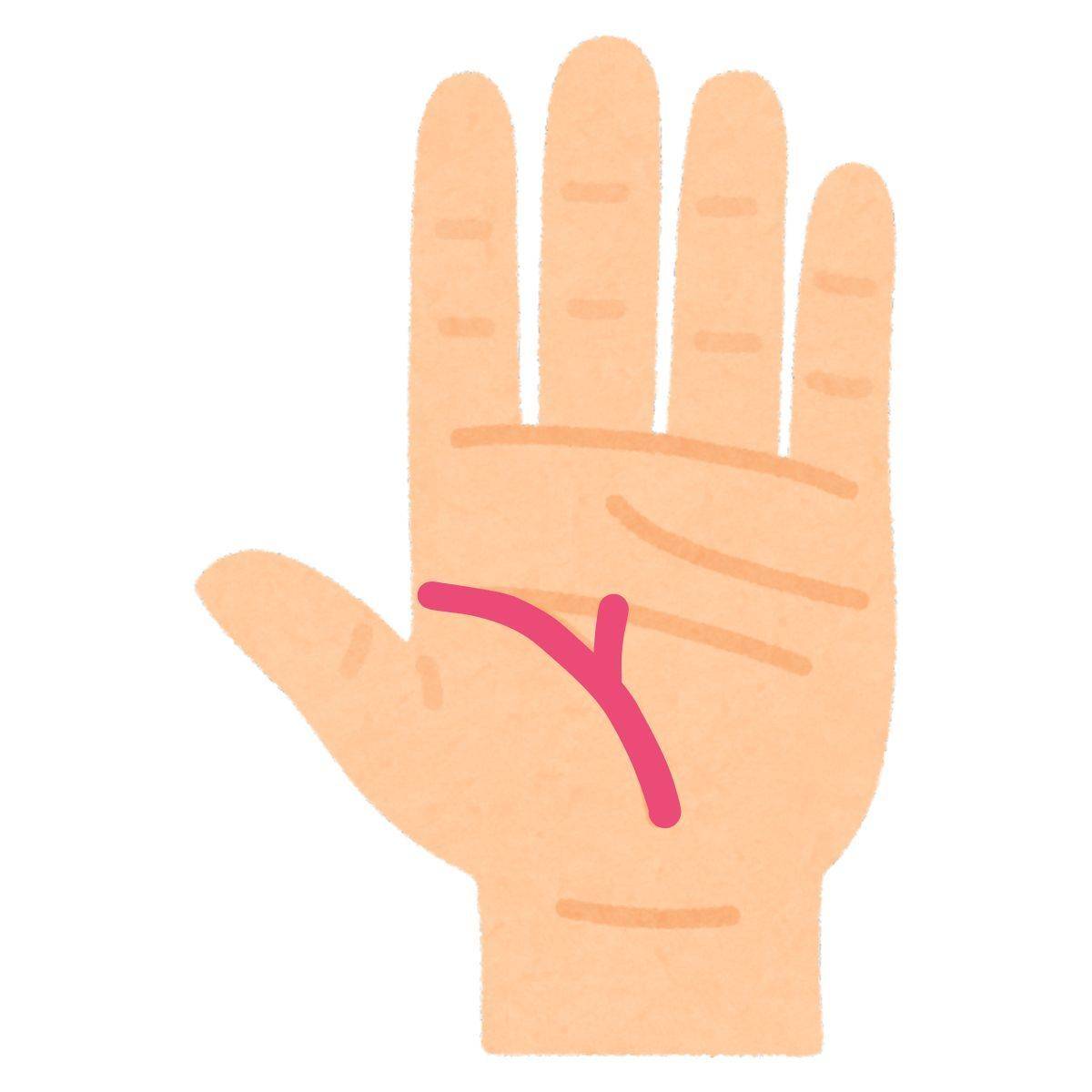 上向きの枝分かれがある生命線