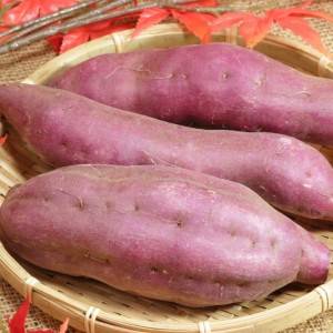  さつまいも 