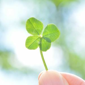 大吉日【12月23日(火)】が訪れるよ。幸運を掴むため行動とは？