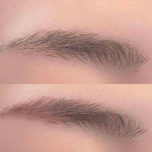  CEZANNE「ノーズ＆アイブロウパウダー」 