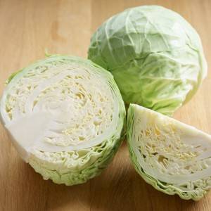  キャベツ 