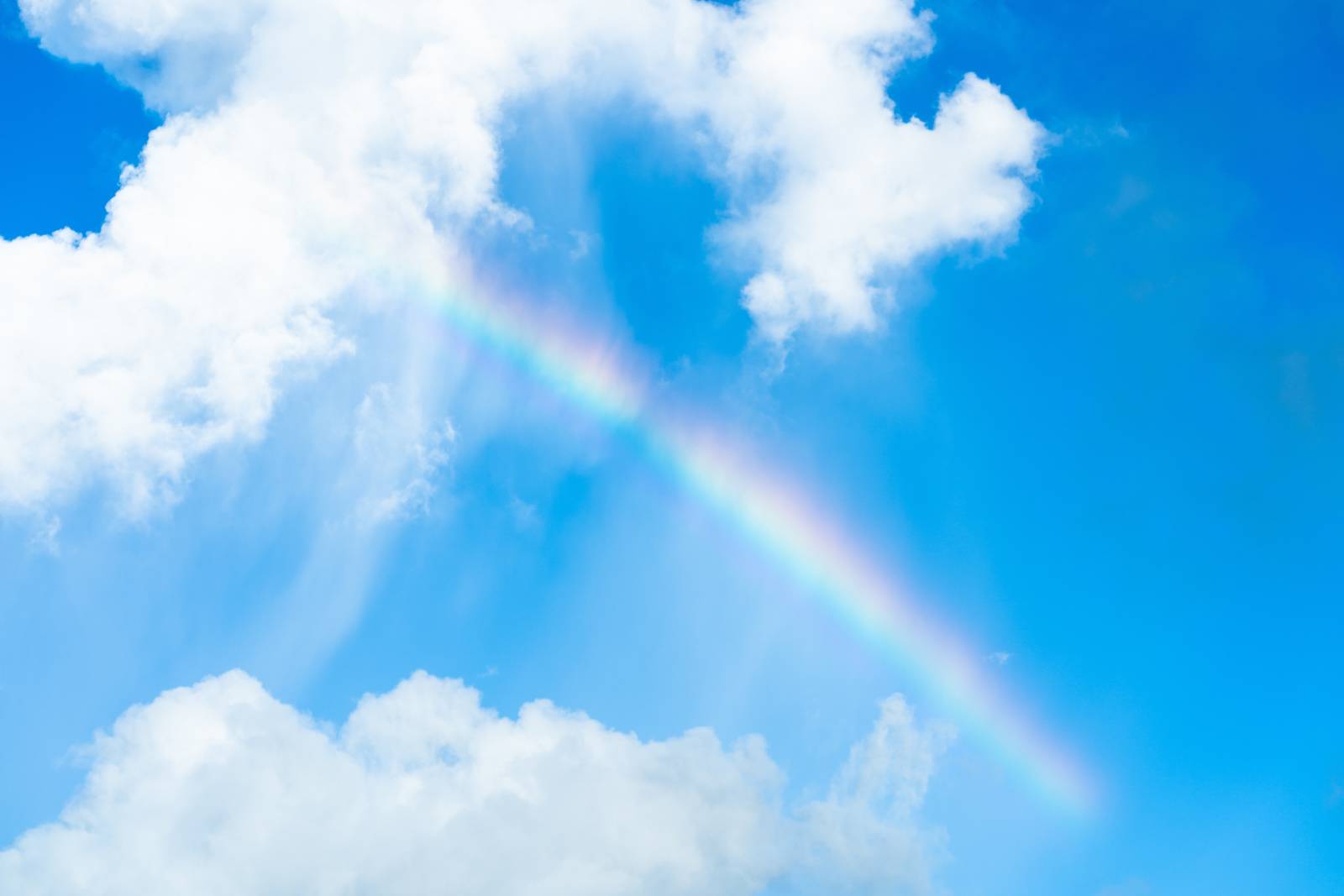 2026年1月30日(金)　開運日