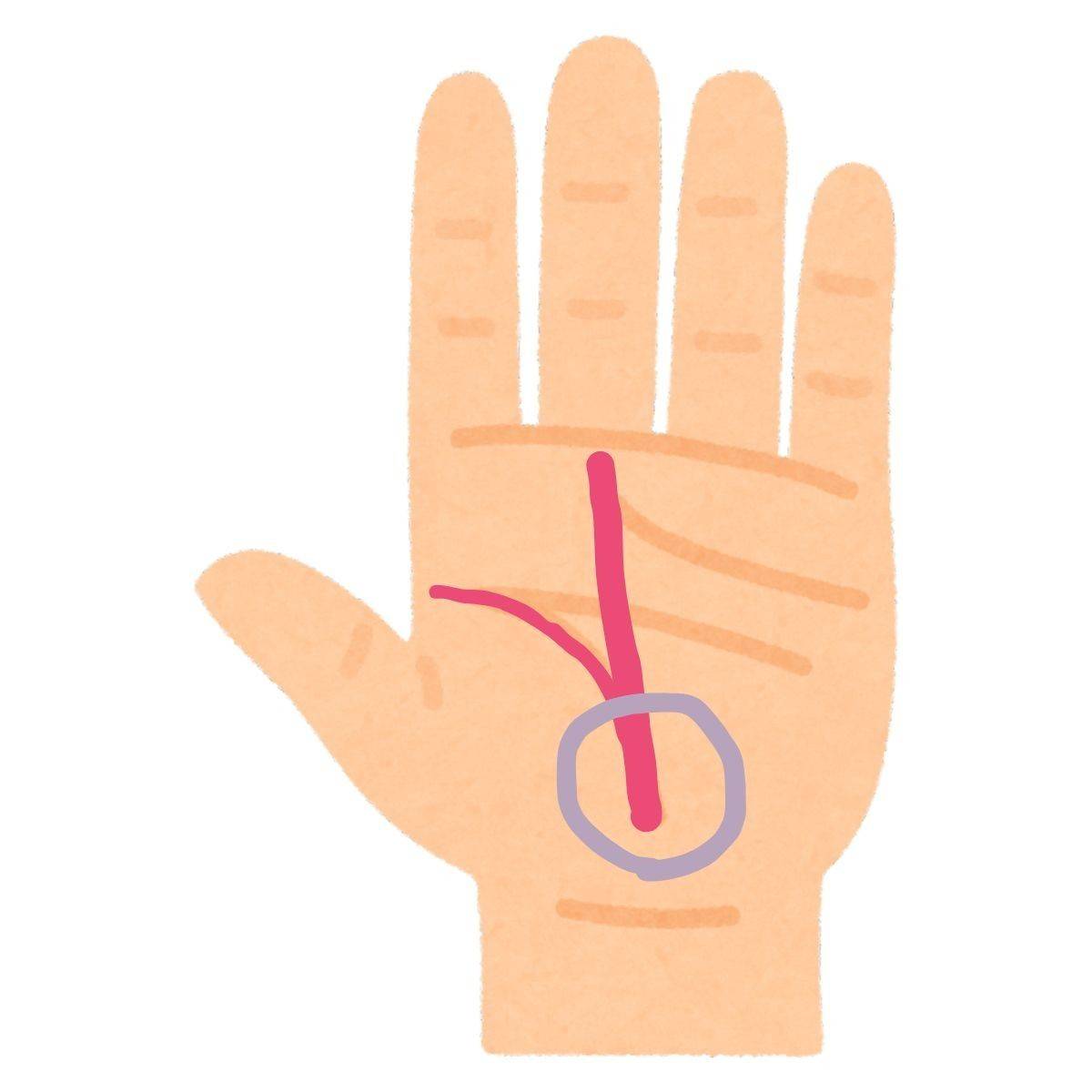 生命線から始まる運命線