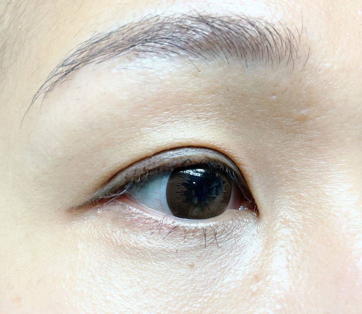 グレージュ色見