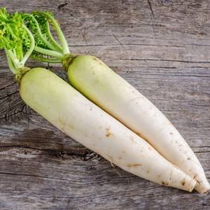  大根 