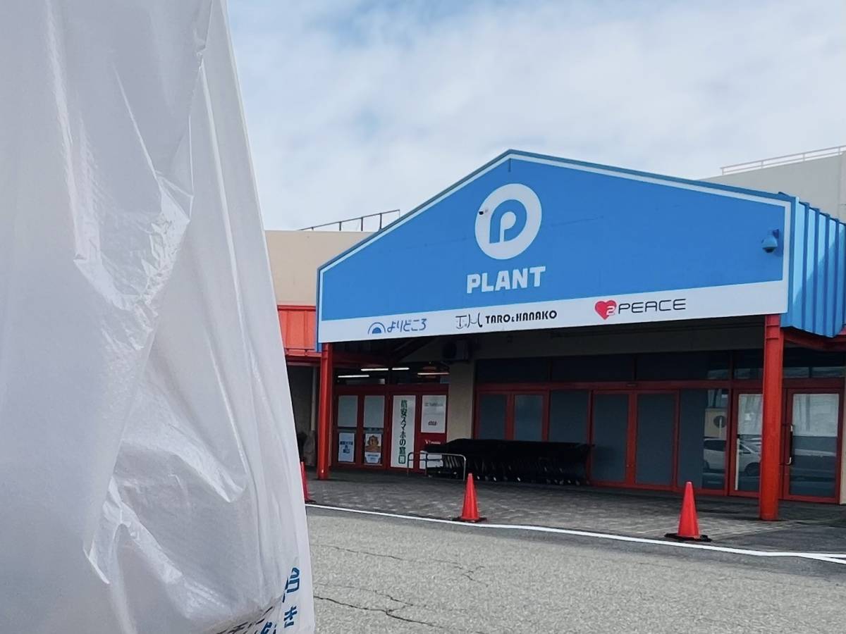 人気商品を買ってみた!