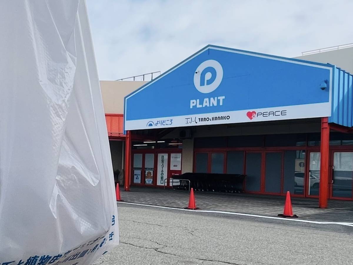 人気商品を買ってみた!