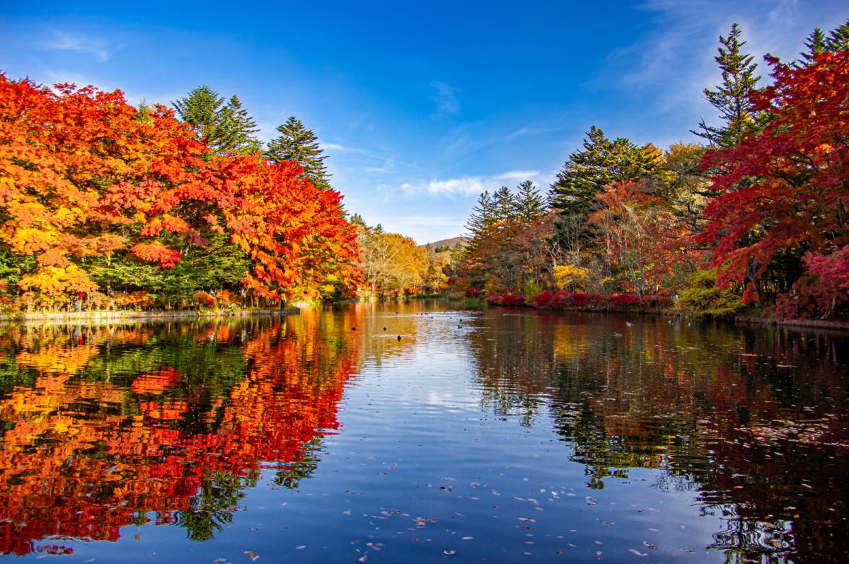 長野県、軽井沢の景色