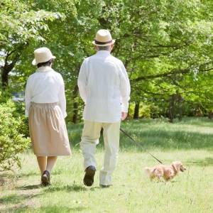  犬をつれた老夫婦 
