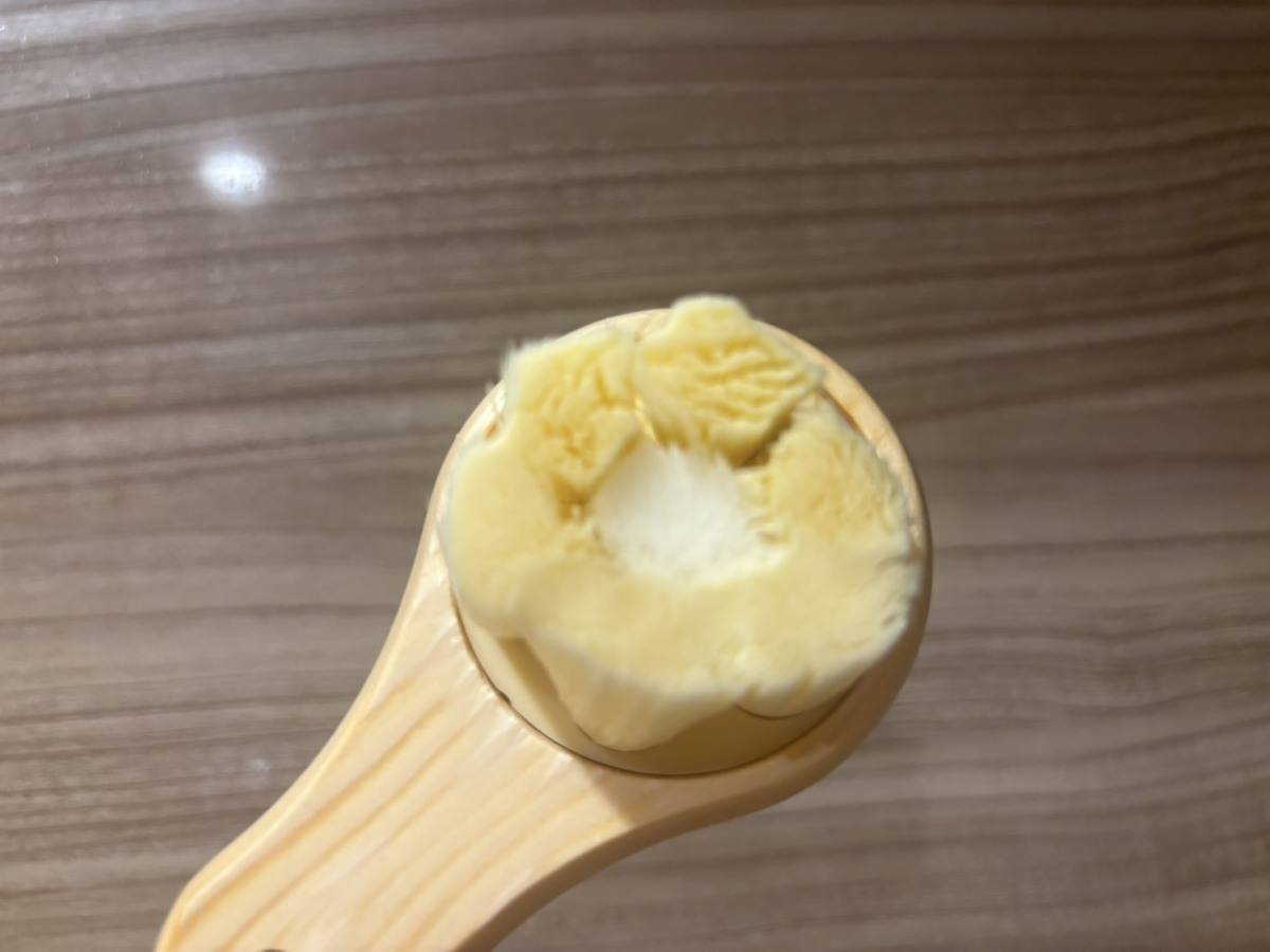 SHIKARI BRIGHTNING WASH BRUSH